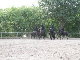 IMG_1231_web
